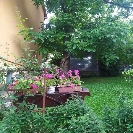 Apartament W Domu Na Wsi Tomaszow Lubelski Exterior photo