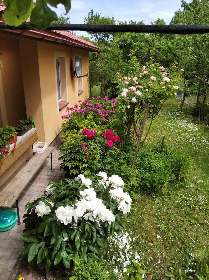 Apartament W Domu Na Wsi Tomaszow Lubelski Exterior photo